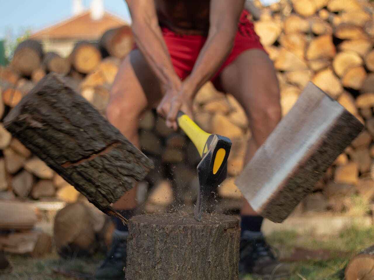 Dead Tree Removal in Citrus City, TX